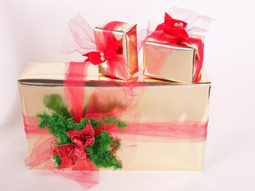 no&euml;l